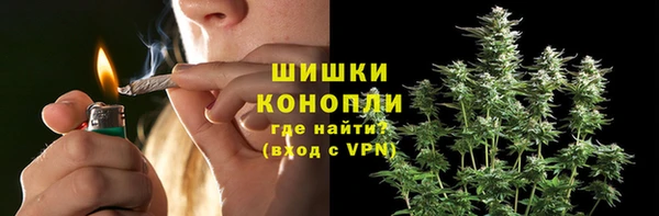 гидра Михайловск