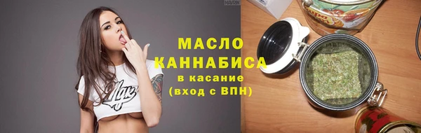 гидра Михайловск