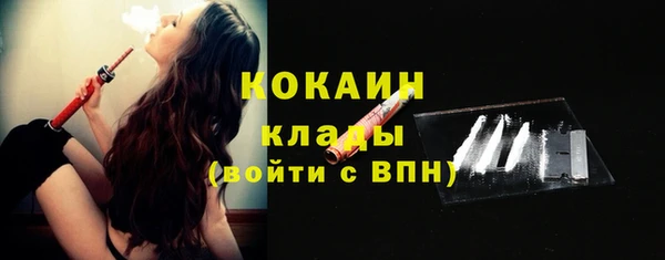 гидра Медвежьегорск