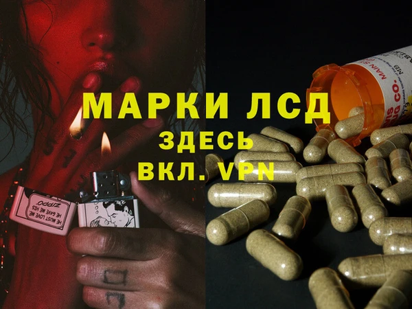 гидра Михайловск
