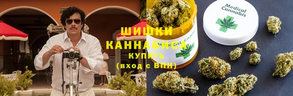 гидра Михайловск