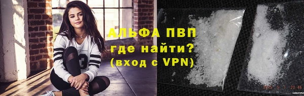 гидра Михайловск
