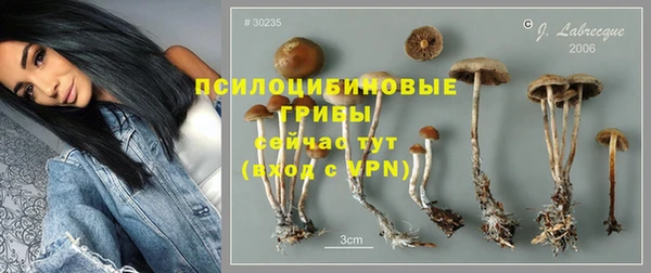 бутират Михайлов