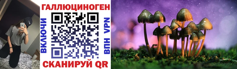 Псилоцибиновые грибы мухоморы Александровское