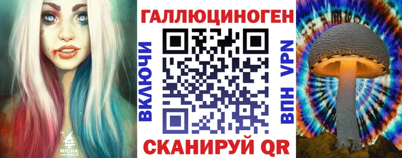 Псилоцибиновые грибы Cubensis  Купить закладки  Александровское 